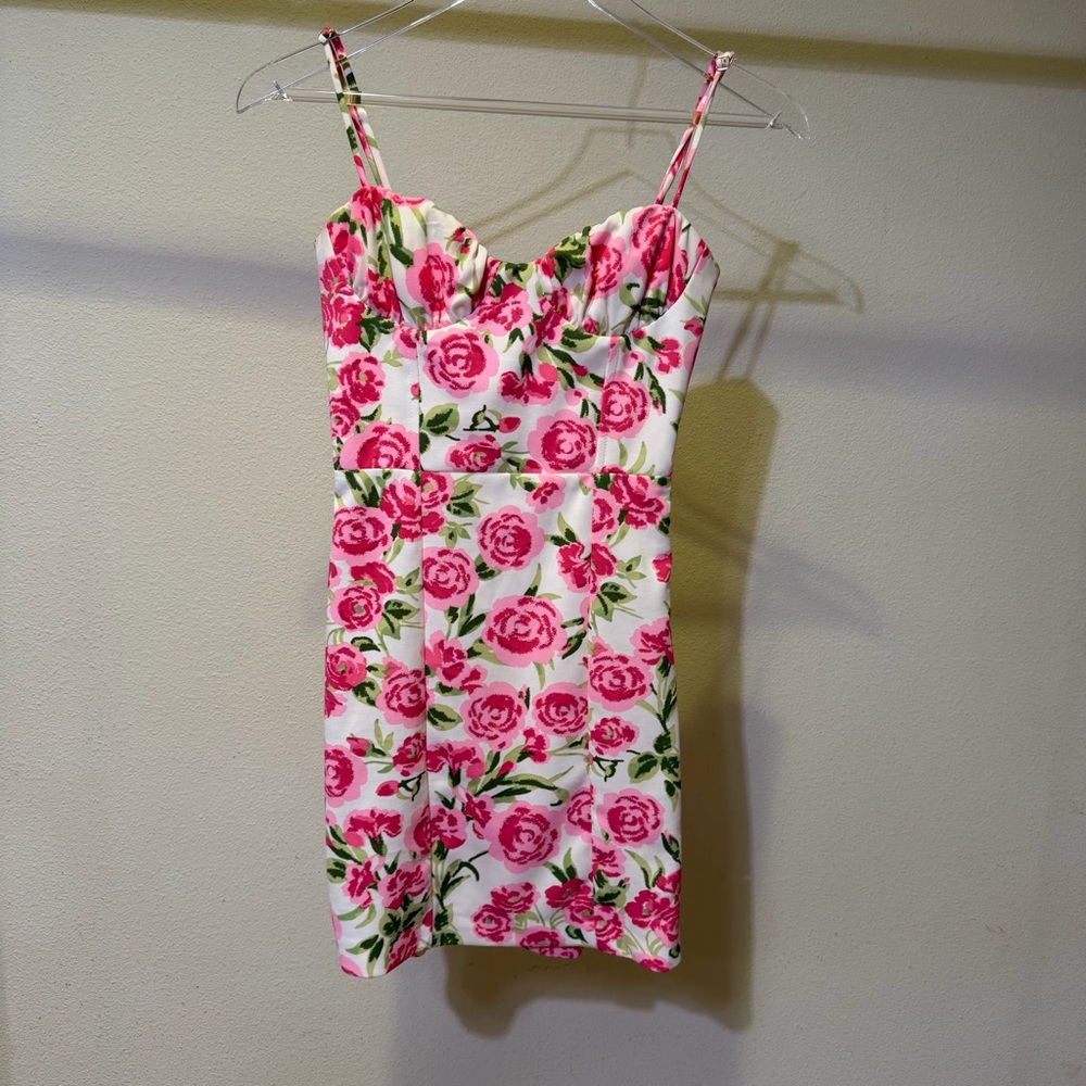 Zara Pink Roses Dress